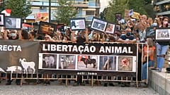 Protesta contra la tauromaquia en el exterior de la plaza de Campo Pequeno en Lisboa
