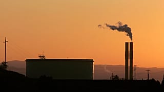 2020'de sera gazı salınımı 800 bin yıldır kaydedilen en yüksek seviyeye çıktı