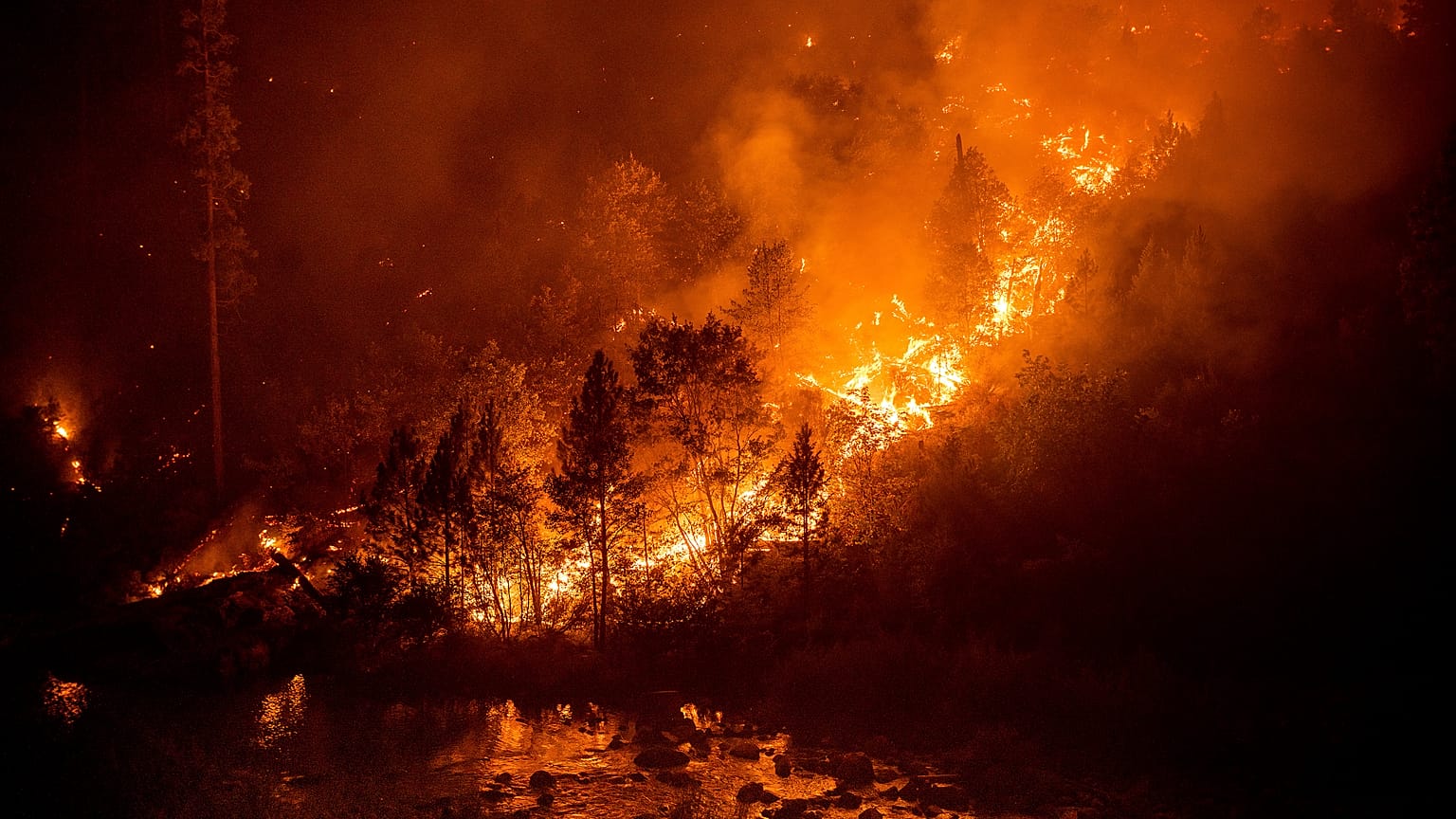 Vento e siccità rendono la California preda costante del fuoco