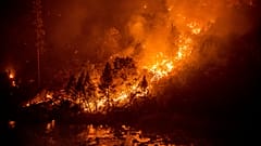 Das Caldor Feuer im El Dorado County