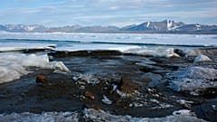 In this photo provided by Morten Rasch on Saturday, Aug. 28, 2021, a view of the newly discovered Island, off the coast of Greenland. 