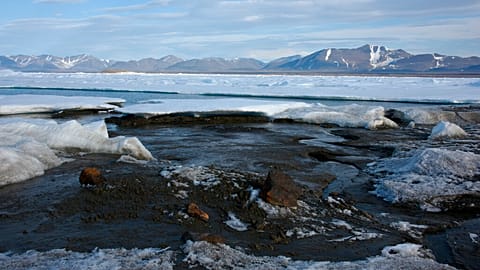 In this photo provided by Morten Rasch on Saturday, Aug. 28, 2021, a view of the newly discovered Island, off the coast of Greenland. 