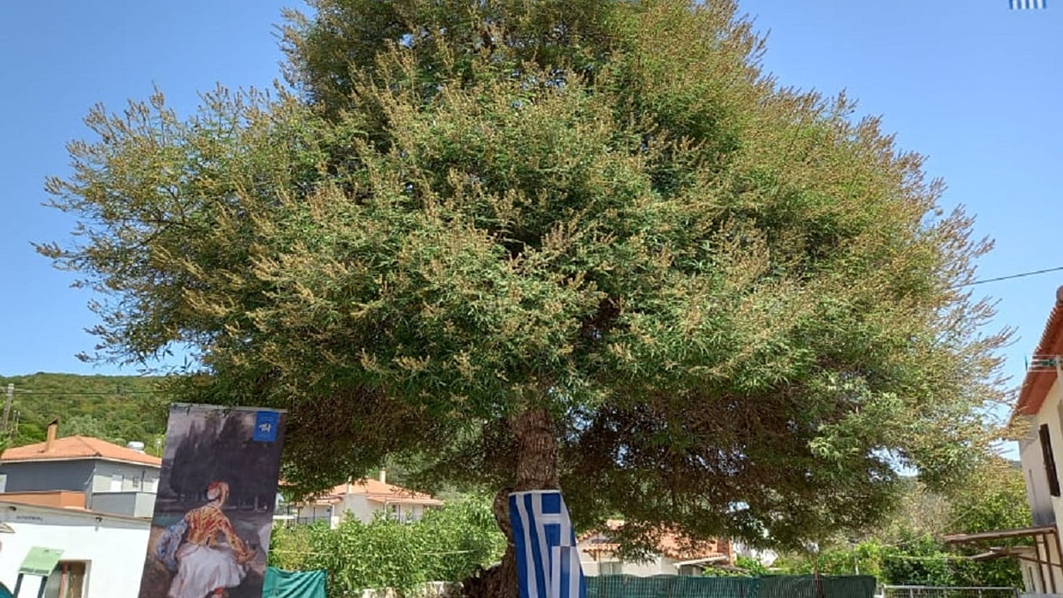 Ινστιτούτο Πολιτισμού Μεσσηνίας