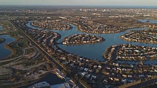 Tem aumentado o número de capivaras em zonas residenciais a norte de Buenos Aires