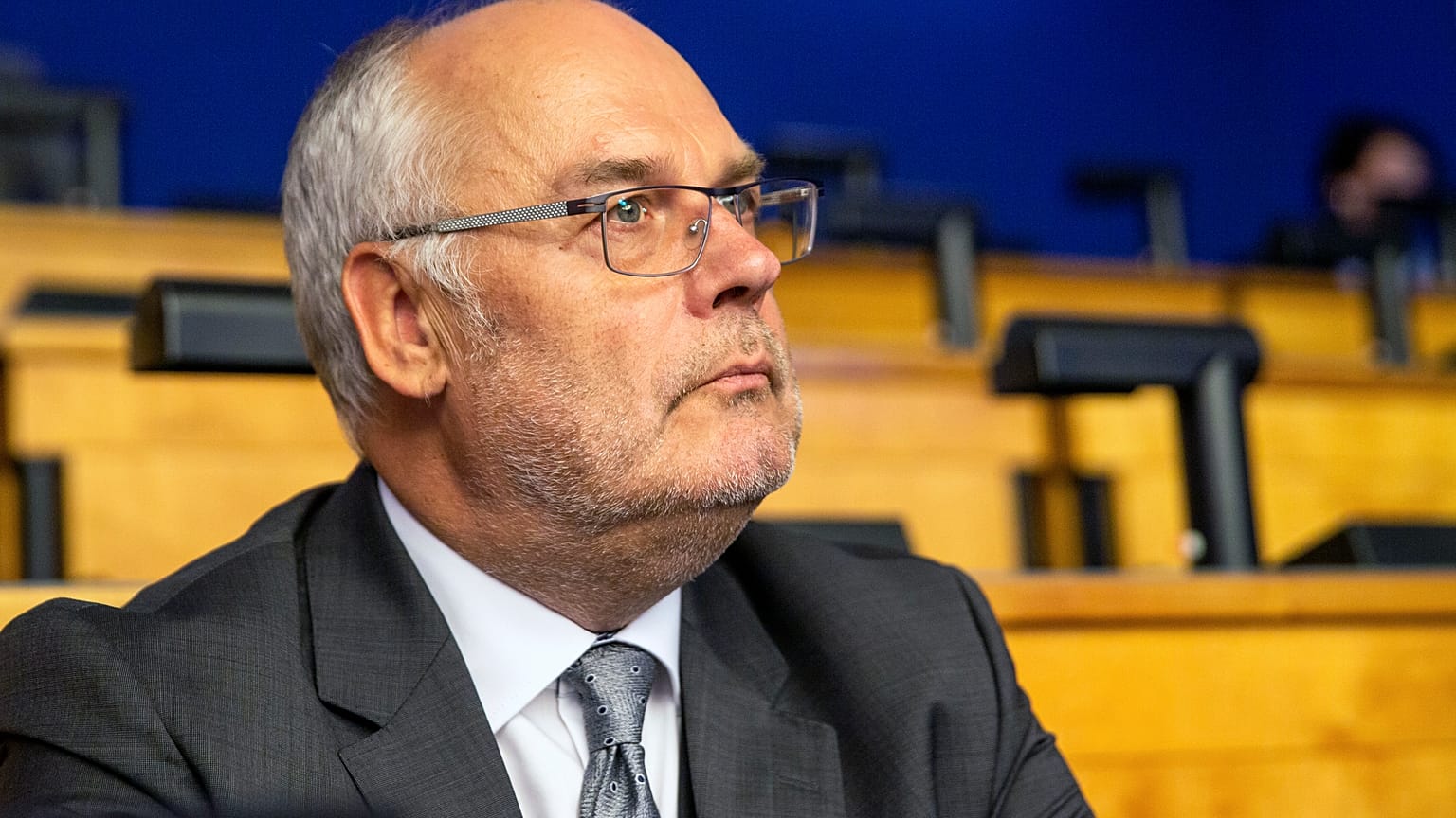 Alar Karis, the current director of the Estonian National Museum, was the only candidate.