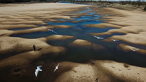 Vögel über dem ausgetrockneten Fluss Paraná