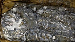 human remains of 6,500 years old body displayed at the The Penn Museum 