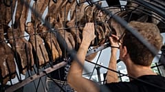 Скелет самого крупного трицератопса продадут на аукционе в Париже