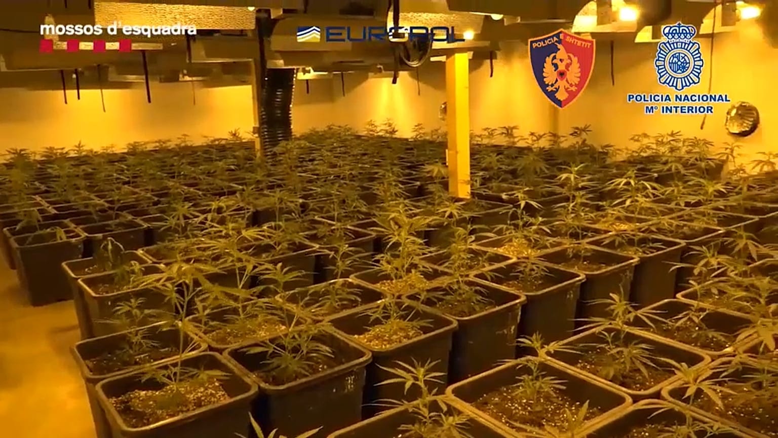 Golpe en España contra el tráfico de drogas
