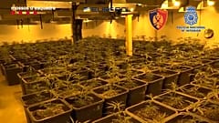 Golpe en España contra el tráfico de drogas