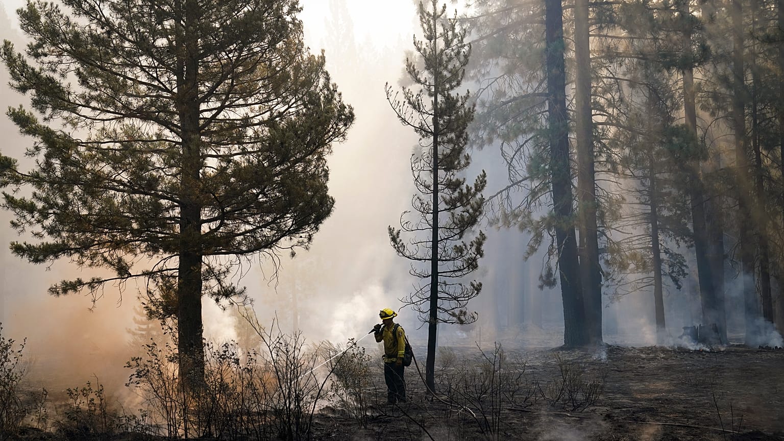 ABD'de orman yangınları: California ve Nevada'da acil durum ilan edildi