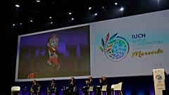 Kampf für die biologische Vielfalt - Weltnaturschutzkonferenz in Marseille