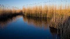 Napfelkelte a Fertő-Hanság Nemzeti Parkban 2012. április 21-én