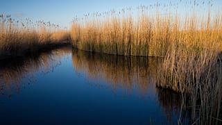 Napfelkelte a Fertő-Hanság Nemzeti Parkban 2012. április 21-én