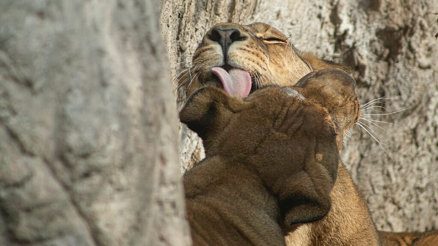 AP Photo