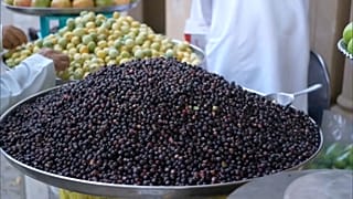 ثمار شجرة البوت العُمانية