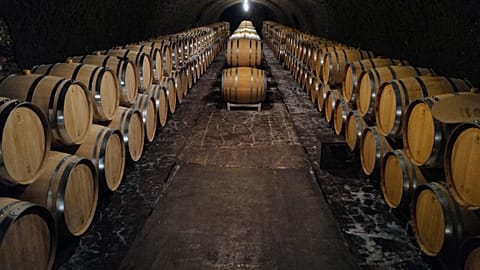 Empty barrels for the next harvest in autumn in the cave of Champagne producer Anselme Selosse in Avize, in the Champagne region, July 28, 2020.
