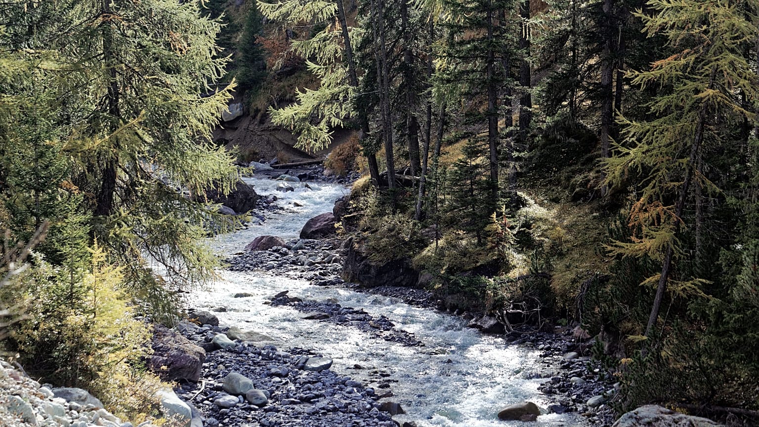 La tecnologia intelligente al servizio della biodiversità: le partnership di Huawei