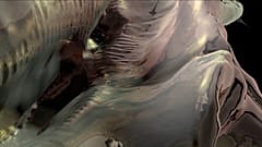 Still image from Empathy for the Machine, by Salomé Chatriot; 2018 