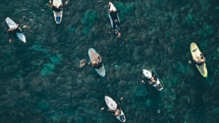 The life of a surfer is intertwined with the marine environment. 