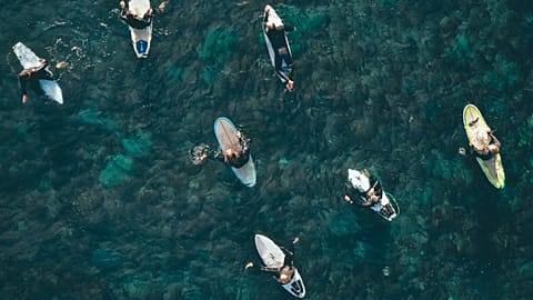 The life of a surfer is intertwined with the marine environment. 