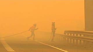Bomberos luchando contra el fuego en Sierra Bermeja, Málaga (España)