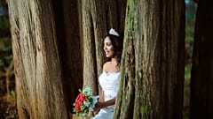 The ceremony was organised to protect a group of mature trees in Bristol, UK