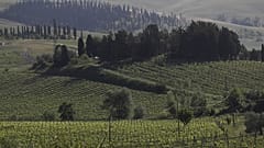 Tourismus im Trend: Weinreisen