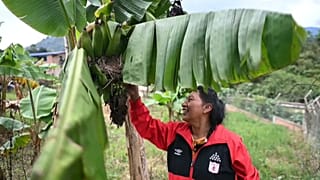 Celia Umenza, miembro de la Guardia Indígena, en Cauca (Colombia) 