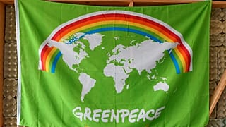"Não há muito para celebrar" no 50° aniversário da Greenpeace