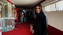آنلیز بورجس، خبرنگار یورونیوز