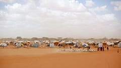  Somali refugees herd their goats at the Ifo refugee camp outside Dadaab, eastern Kenya
