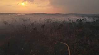 Amazzonia