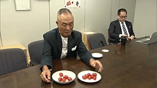 Japonya'da GDO'lu domatesler sofralarda yer almaya başladı