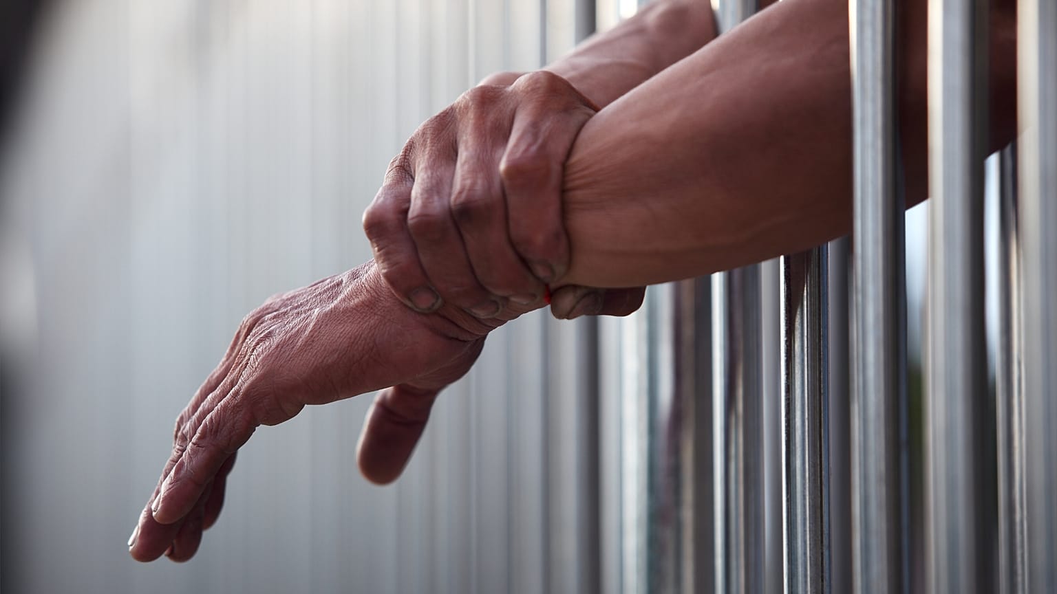 عکس تزئینی است