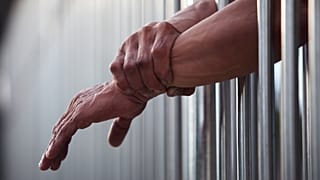 عکس تزئینی است