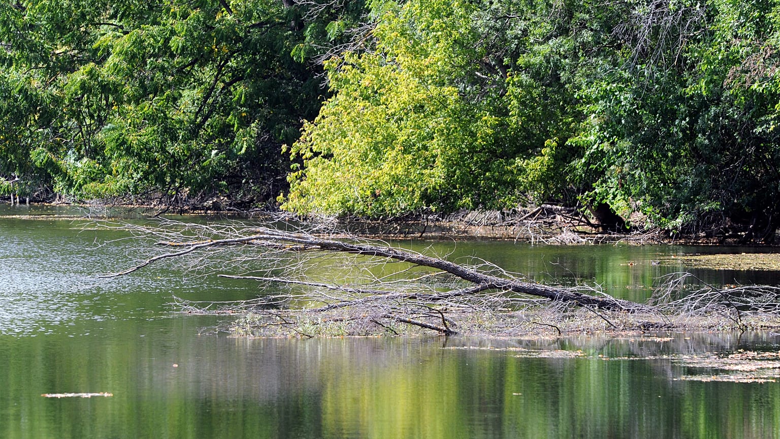 UNESCO dichiara Riserva della biosfera la regione fluviale Mura-Drava-Danubio