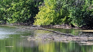 A Duna holtága Béda-Karapancsa tájegységnél 2012. szeptember 11-én