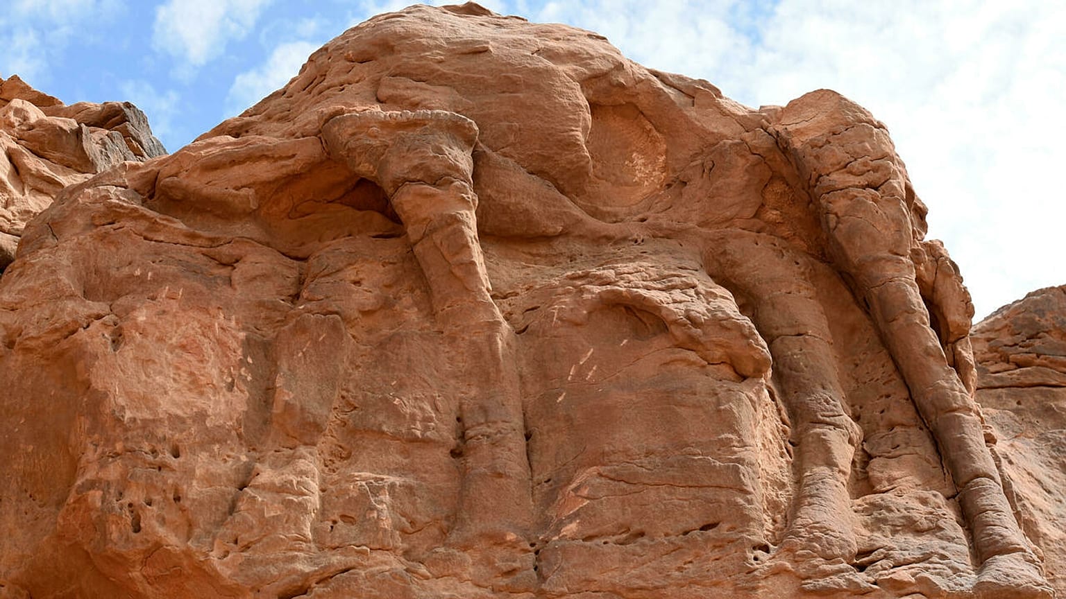 Suudi Arabistan'da yeni keşfedilen 21 deve ve at kabartması önemli ölçüde aşınmış durumda