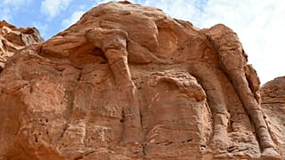 Suudi Arabistan'da yeni keşfedilen 21 deve ve at kabartması önemli ölçüde aşınmış durumda