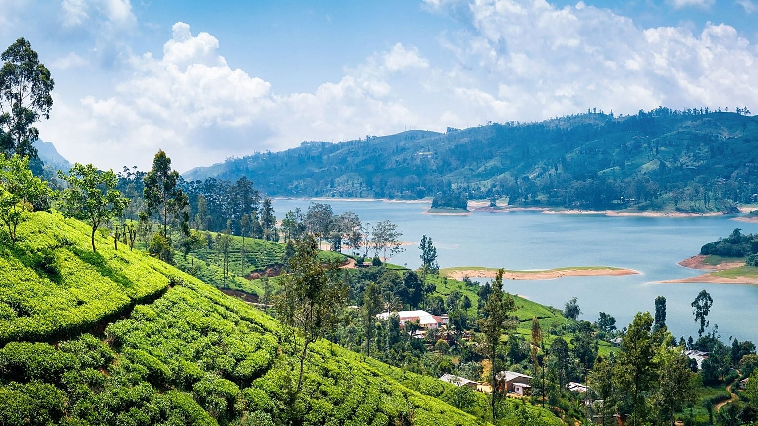 The view from a tea plantation near Nuwara Eliya, Sri Lanka.