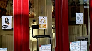 По разным оценкам, в Бельгии насчитывается 3 000 до 20 000 работниц и работников секс-индустрии