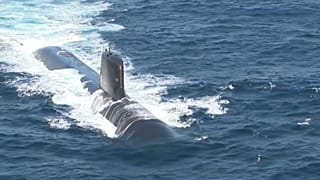Париж отозвал для консультаций своих послов из США и Австралии