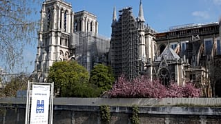 La catedral de Notre Dame de París