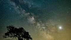 Mehr Nachhaltigkeit durch weniger Lichtverschmutzung