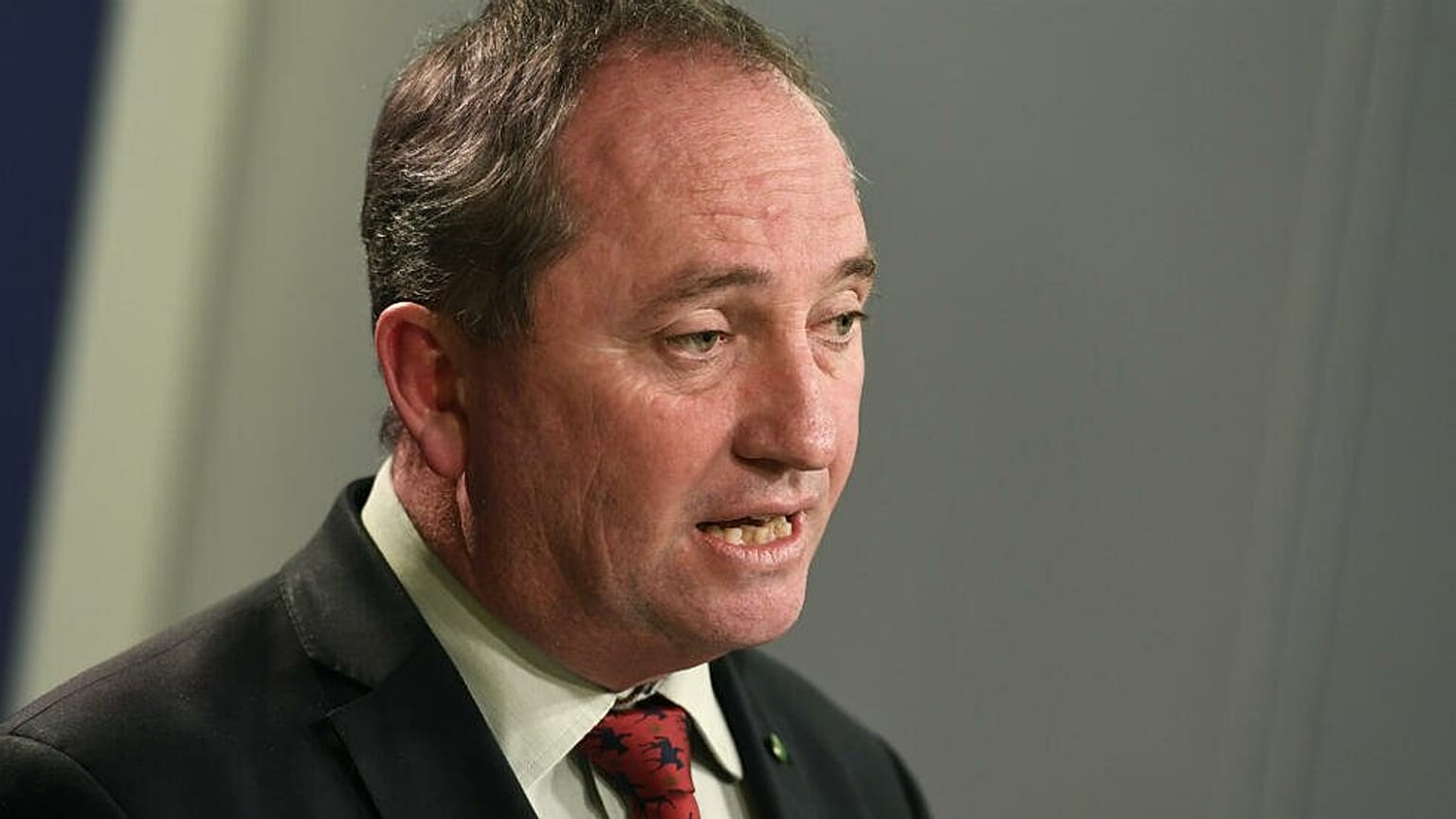 Avustralya Başbakan Yardımcısı Barnaby Joyce