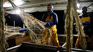 Европейские рыбаки недоплачивают налог на топливо 