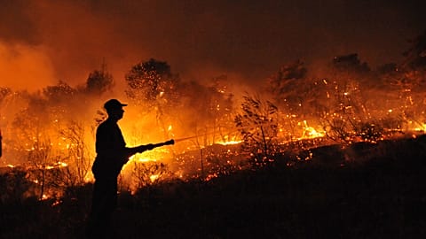 A firefighter sprays water at a burning forest near Nea Makri, north of Athens, on Monday, Aug. 24, 2009