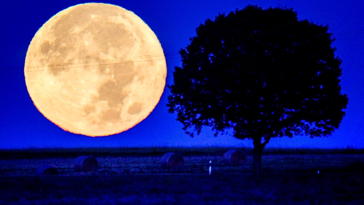 Vollmond im Taunus bei Wehrheim