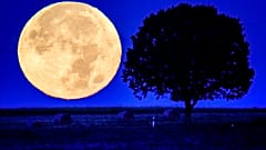 Vollmond im Taunus bei Wehrheim
